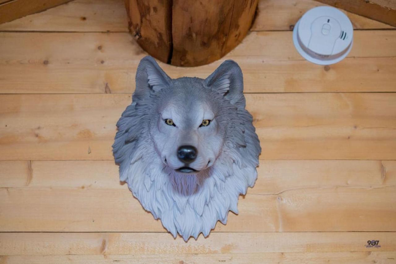 1 Bd. Deluxe Log Dry Cabin| Views Northern Lights! Φέρμπανκς Εξωτερικό φωτογραφία